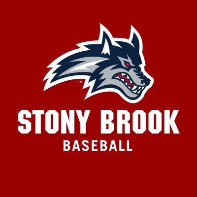 Stony Brook Seawolves mark